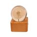 Round Body Home Atmosphere Good Item Dandelion Small Night Light Ornament Desktop Decoration Resin Craft_voghion.com