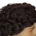 Synthetic Clip-in New Wigs Men's Brown Synthetic Wigs Fashion Short Curly Fluffy Small Curly Wig_voghion.com