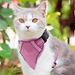 Guangying Pet Harness Reflective Strip Adjustable Breathable Cats Dogs Vest Chest Strap For Outdoor_voghion.com