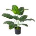 Simulering bonsai grønne planter Rejsende bananparadisfugl Nordisk bananblad grønne planter havedekoration buket landskabspleje træ_voghion.com
