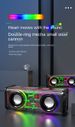 Centrale elettrica portatile: altoparlante Bluetooth V8 a doppio altoparlante con bassi profondi da 10 W e luci RGB_voghion.com