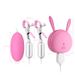 Sex Products Jiuba Charging Double Peaks Clitoris Three Point Vibration Nipple Clamp Breast Chest Massage Female Masturbator_voghion.com
