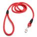 Pet Professional Competition Small And Medium-sized Dog Leash Blue_voghion.com