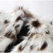 Women's Clothing Autumn Women's Fur Temperament Elegant Leopard Print Fur Women's Short Coat Plush Jacket_voghion.com
