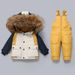 Completo invernale imbottito per bambini in stile coreano: giacca calda con cappuccio e tuta staccabile (80-110 cm, 5 colori)_voghion.com