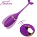 Wireless Mini Vibrator Ball With Remote Control_voghion.com