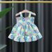 Baby Girl Dress Summer Korean Style Flower Cotton Sling Dress Kids Outing Play Clothing_voghion.com