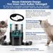 5L Automatischer Futterautomat Katze 2 Näpfe, Katzenfutter Automat 2.4G WiFi Edelstahl Anti-Clog Temporizador 24h 1-10 Mahlzeiten Tag 1-40 Porciones, Futte_voghion.com