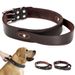 Beirui Leather Collar For Medium And Large Breed Dogs_voghion.com