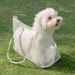 New Portable Breathable Kitten Scratch-Resistant Outdoor Pet Shoulder Crossbody Handheld Puppy Bag_voghion.com