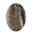 Stylish Leopard Print Faux Fur Coat For Kids (3-8 Years, 90-140cm) – Blazer Collar Design Lightweight Warm For Fall/Winter – Unisex Boys & Girls_voghion.com