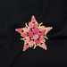 Broche Pentagrama Temperamento Azul Rosa Mudança Gradual Rosa Flor Corsage Mulher_voghion.com