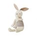 Soft Life Gray Cocoa Rabbit Doll Children's Toy Short Plush Sleeping Doll Baby Birthday Gift_voghion.com