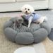 Çiçek Şeklinde Kedi Her Mevsim Sıcak Peluş Teddy Polar Köpek Yatağı Derin Uyku Evcil Hayvan Yuvarlak Yuvası_voghion.com
