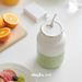 Olayks Juicer 700ml Portatile da Viaggio Dormitorio Spremere Frutta e Verdura in Rame Puro Motore Tazza per Succo_voghion.com