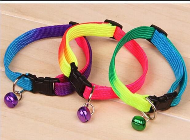 Pettorina per cani colorata con corda, orsacchiotto e barboncino, guinzaglio arcobaleno, ordine minimo un pezzo_voghion.com