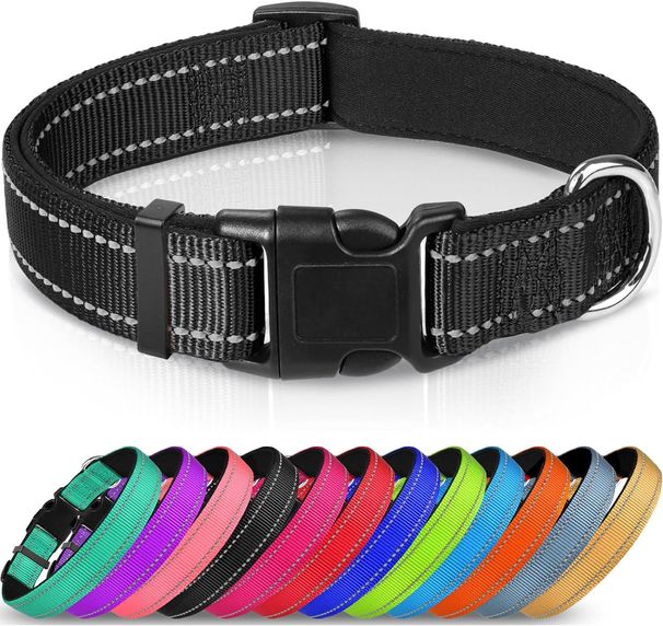 Verstellbares, reflektierendes, weich gepolstertes Halsband aus Nylon für Haustiere, für Katzen und Hunde_voghion.com