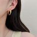 Ins Cold Style Hoop Earrings 2025 New Small Niche Design Sense High-end Studs Ear Accessories For Women_voghion.com