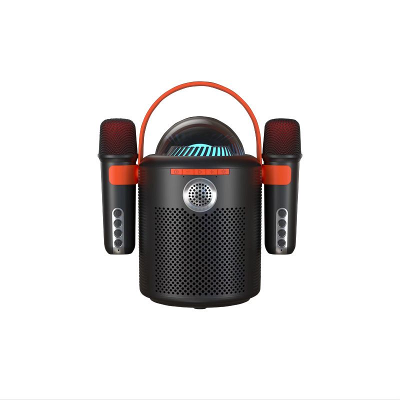 Portable Bluetooth Speaker, High Volume, Dual Microphone, Outdoor Colorful Lighting, Family Karaoke with 2 Microphone_voghion.com