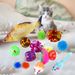 Guangying 14Pcs Cat Toys Fish Mouse Balls Catnip Toy Interactive Toy Cat Teaser Feather Toys Pet Leisure Toys_voghion.com