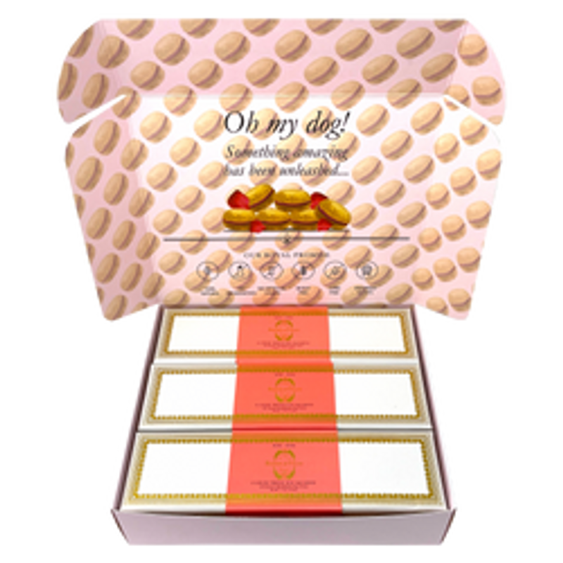 Dog Macaron Combo Gift PackDog Macaron Combo Gift Pack_voghion.com
