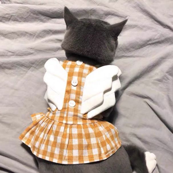 Little Wings Plaid Rock Sommer Dünne Teddy Pet Pommerschen Pudel Schnauzer Kleine Hund Kleidung Fabrik_voghion.com