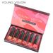 YOUNG VISION Mattes Lippenstift-Set – 6 samtig-feuchtigkeitsspendende Lippenstifte, langanhaltend und nicht austrocknend, Geschenkbox mit 12 Farbtönen (tierversuchsfrei)_voghion.com