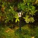 Solar LED Lawn Lights Outdoor Waterproof Garden Landscape Lighting Decorative Pathway Lights, Multi-Sided Black With Colorful Lights_voghion.com