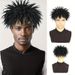 Synthetic Extensions Men's African Curly Wigs Hedgehog Head Caterpillar Dreadlocks Xuchang New African Curly Wigs_voghion.com