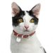 Heißer Verkauf liefert Haustier Tag Metall Katze Form Kragen Anhänger Anti-Lost ID_voghion.com