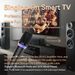 Neu Karaoke Begleiter Dual Wireless Mikrofon Dynamisches Bluetooth 5,3 DSP Mixer System hine RGB Licht 3,5mm AUX Verstärker_voghion.com
