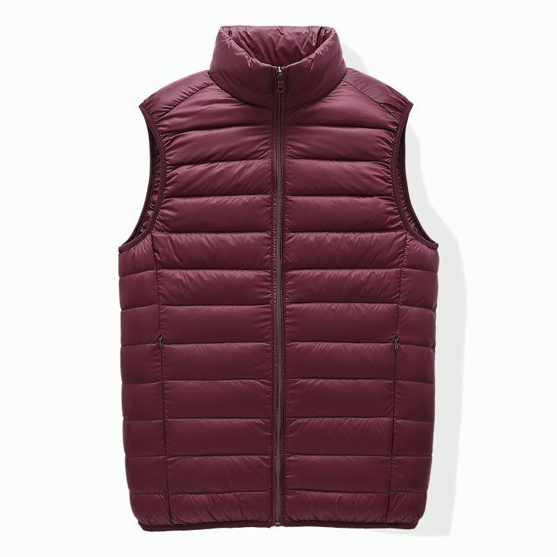 Gilet capispalla caldo e spesso invernale 2023 gilet coreano casual con colletto rialzato da uomo_voghion.com