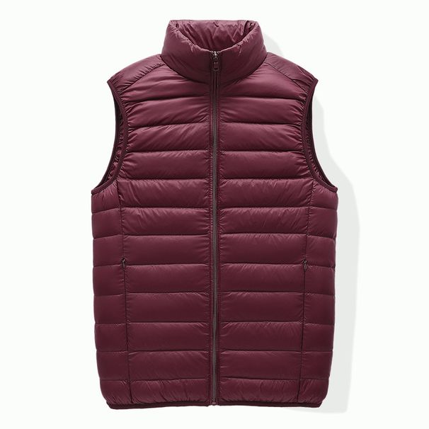 Gilet capispalla caldo e spesso invernale 2023 gilet coreano casual con colletto rialzato da uomo_voghion.com