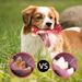 New Dog Chew Sound Toy, Durable Rubber Simulation Small Bone Treat Dispensing Pet Toy_voghion.com