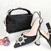 Damenschuhe Schlichtes Party-Set aus spitzer Damenschuhe und Tasche mit Diamantriemen am Griff_voghion.com