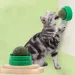Catnip Cat Wall Stick-on Ball Toy Scratchers Treats Healthy Natural Removes Balls To Promote Digestion Cat Grass Snack_voghion.com