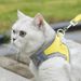 Pet Harness Small Vest Style Dog Leash Walking Rope Cat Supplies Breathable Reflective_voghion.com