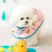 Poncho antipioggia impermeabile coreano per cani di piccola taglia, media e grande, con cappuccio e mantello a cartoni animati per Teddy Bichon_voghion.com