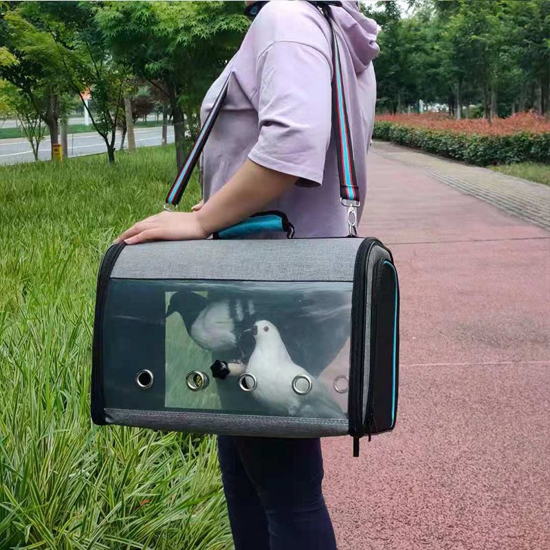 Borsa a tracolla singola trasparente traspirante di grande capacità per animali domestici, pappagalli, uccelli, viaggi e passeggiate_voghion.com