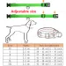 COOYOMOO LED Collar For Dogs And Cats_voghion.com