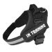 Explosion-Proof Pet Harness Large Dog Leash Vest-Style Reflective Chest Strap_voghion.com