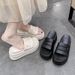 Women's Summer Outdoor Trendy New High Heel Thick Sole Round Toe Platform Beach Slide Flat Slippers_voghion.com
