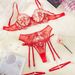 2025 Nuo New Style Push-Up Bra Mesh Embroidery See-Through Temptation Comfortable Close-Fitting Underwear Set For Women_voghion.com