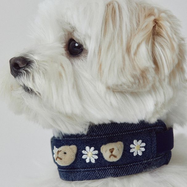 Korean INS 3D Embroidery Cute Bear Breathable Chest Harness Set Teddy Bichon Dog Outdoor Leash_voghion.com
