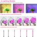 Vollspektrum LED Wuesslampe DC 5V USB Phytolampe Desktop Planzewuesslampe Fir Indoor Blummen VEG Keimling Sukkulenten_voghion.com