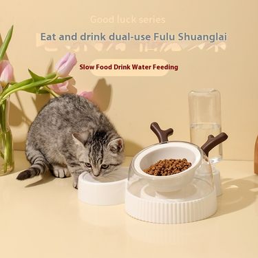 Big Cat Dog Bowl, Anti Knock Automatic Water Dispenser Combination, Non Black Chin, Pet Bowl Supplies_voghion.com