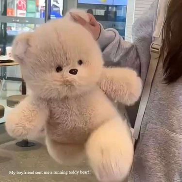 Cute Running Series With Little Bear, Plush Rabbit Dolls, Bed Sleeping Dolls For Men And Women's Birthday Gifts_voghion.com