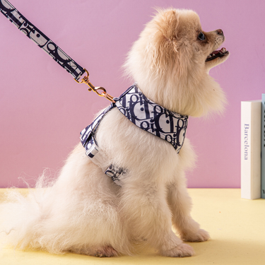 Set For Small And Medium Dogs Harness Dog Leash Pet Supplies_voghion.com