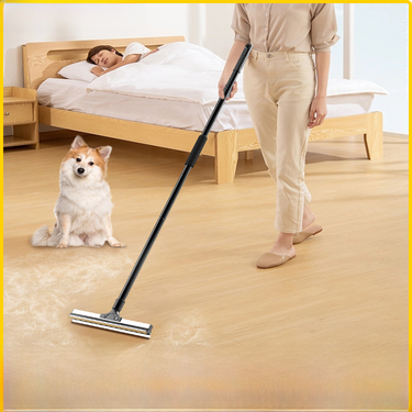 Amazon new large cat hair remover washable factory retractable two-in-one pet long handle hair scraper_voghion.com