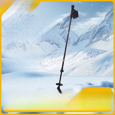Two-Section Aluminum Alloy Double Board Snow Cane Multi-Functional Ski Portable Climbing Shock-Absorbing Walking Stick_voghion.com